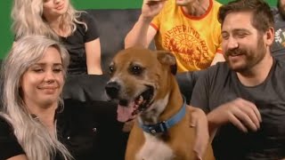 ̶B̶e̶n̶d̶e̶r̶  Scooby-Doo Visits Funhaus