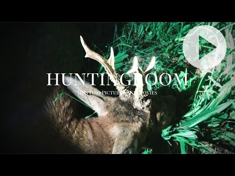Der heimliche Waldbock - A HUNTINGROOM Story #25