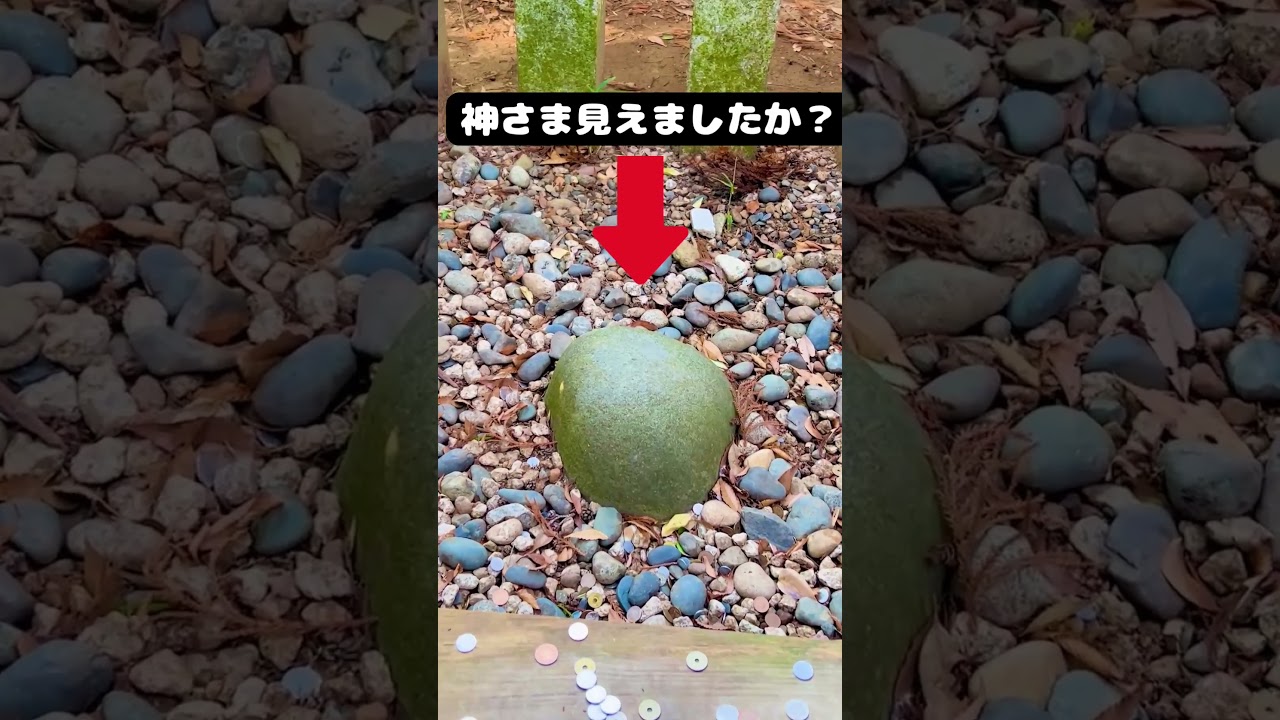 神さま見えましたか？#かおりの虹 #神さま #霊視 #磐座 #香取神宮 この要石…神様のお顔が現れています。