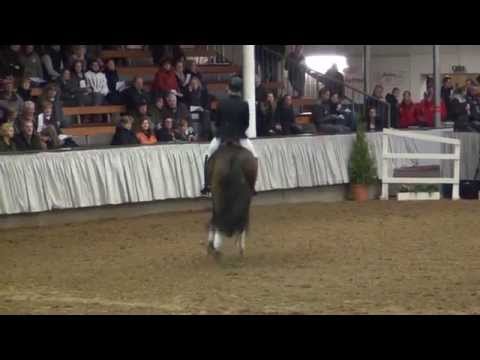 FRANZISKUS v. Fidertanz x Alabaster - Rubinstein I / Ingrid Klimke