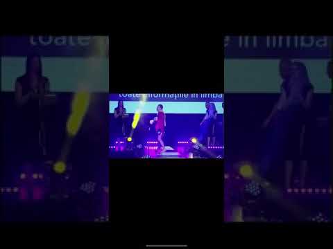 The Viking Amansio Paraschiv Knockout