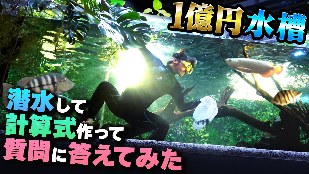 【1億円水槽】流動濾過材はどのくらい必要？計算式で必要量を出してみた！