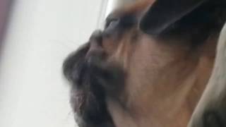 Download lagu mia.mp4 mp3