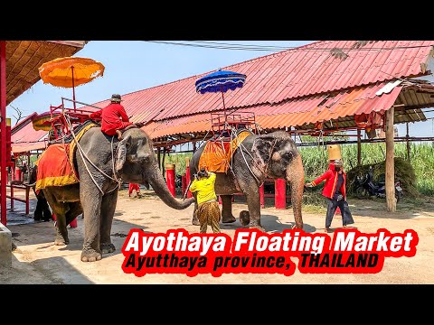 Vídeo mais recente: Mercado flutuante de Ayutthaya e vila de elefantes | Ayutthaya, Tailândia