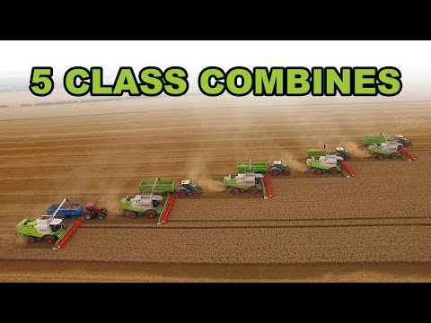 5 Combine Harvesters Working Together Video