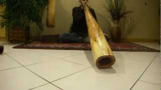 Locust Didgeridoo Demo Key C#