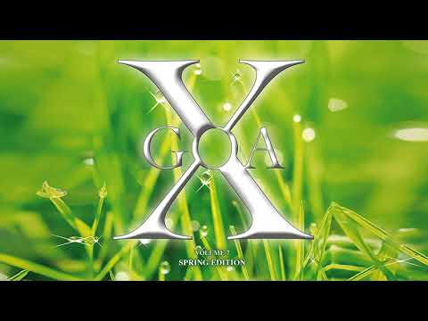 Plastic Vibe - Denied Memories