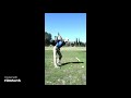 Kyle Denison - 7 iron and 10 iron