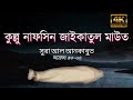 কুল্লু নাফসিন জাইকাতুল মাউত সূরাহ আল �