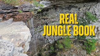 Tennessee's Real Jungle Book Waterfall: Ozone Falls Adventure