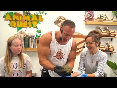 Knut in the Wild w/ Maya & family