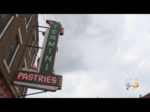 download lagu mp3 mp4 Cake Bakeries Philadelphia, download lagu Cake Bakeries Philadelphia gratis, unduh video klip Cake Bakeries Philadelphia