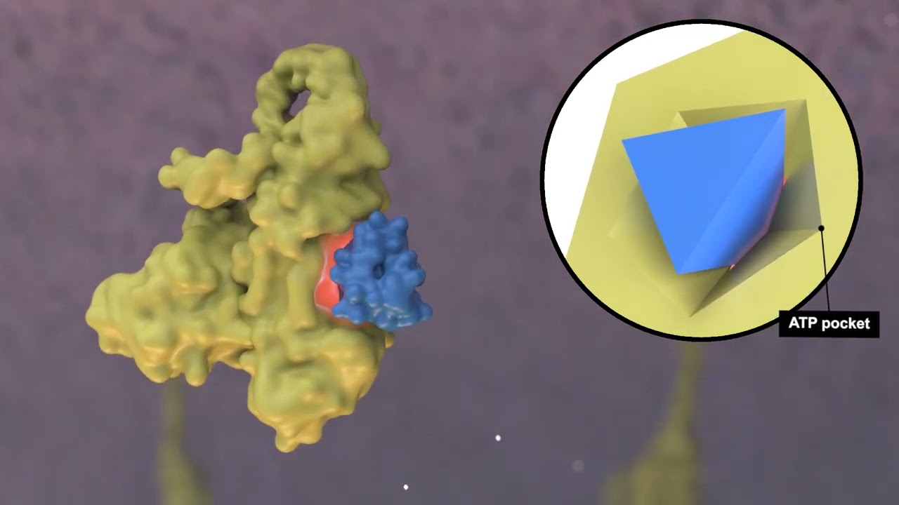 Overcoming BTK Resistance With Non-Covalent BTKi