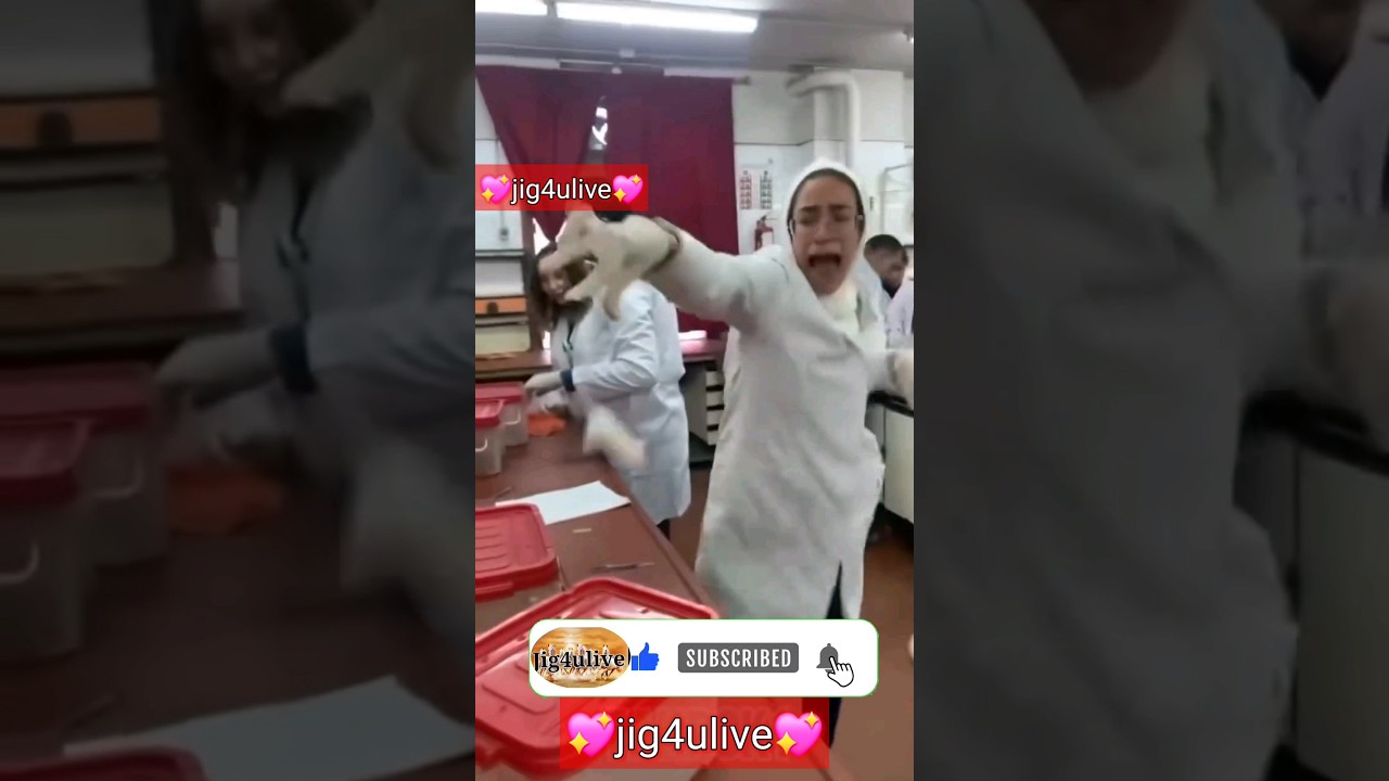 Hospital vs Rat || #shorts #viral #comedy 😁😁😁🙄🙄🙄🤪