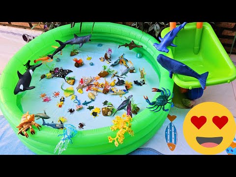 Luppi - Edutainment for Kids and 2 more