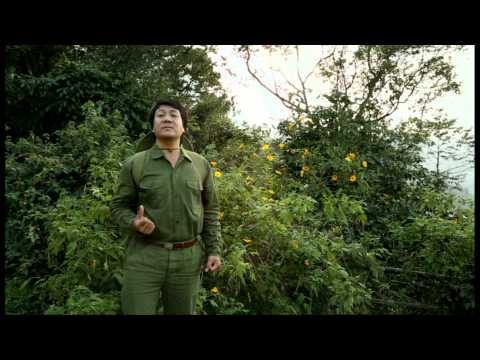Thể hiện bởi Quốc Hưng