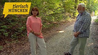 Tierisch München – Die Welt der Wilden Tiere
