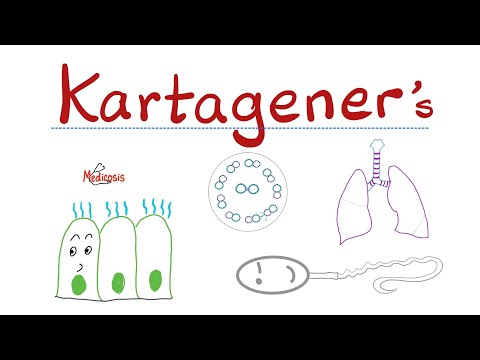 Kartagener's Syndrome (Immotile Cilia Syndrome or Primary Ciliary Dyskinesia) | Pulmonology