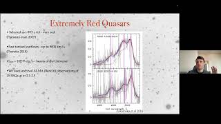 MAYA2023: Jan Scholtz Massive molecular and dust reservoirs around z~2 extremely red quasars