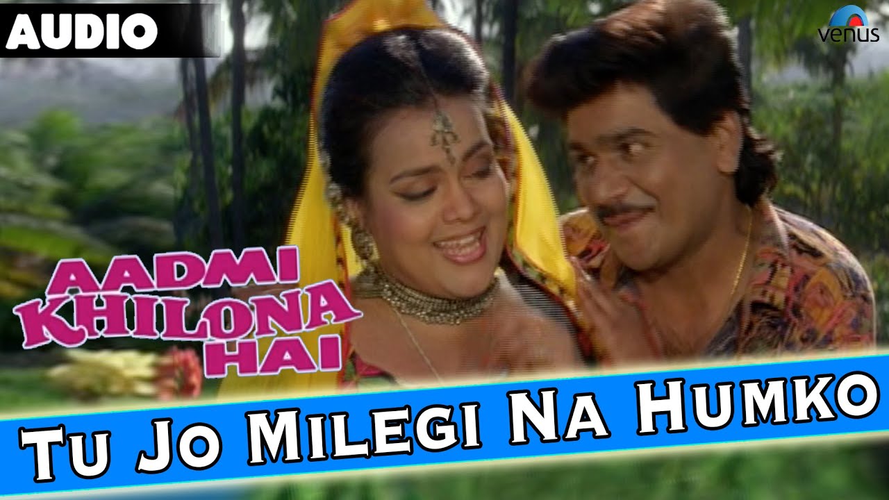 Tu Jo Milegi Na Humko Lyrics  | Aadmi Khilona Hai | Jeetendra, Reena Roy | Alka Yagnik, Sudesh Bhonsle | Nadeem Saifi, Shravan Rathod