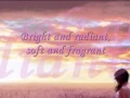 Trish Thuy Trang - Lovely - Lyrics 