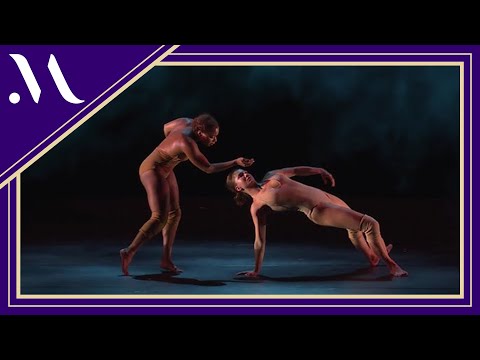 Pilobolus: Come to Your Senses
