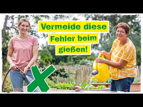 PFLANZEN GIESSEN: 5 häufige Fehler beim Gießen & wie du sie vermeidest! 💧