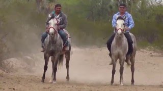 Carreras de Caballos | "El Cadete" Grupo Laberinto