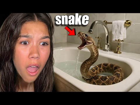 Found a RATTLESNAKE Inside Our Bathroom *Scary Moment*