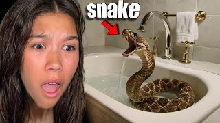 Found a RATTLESNAKE Inside Our Bathroom *Scary Moment*