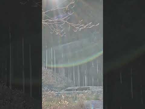 Sacred Portal – Tenkawa Aurora Light