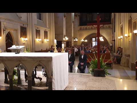 Kao košuta - DomiNika