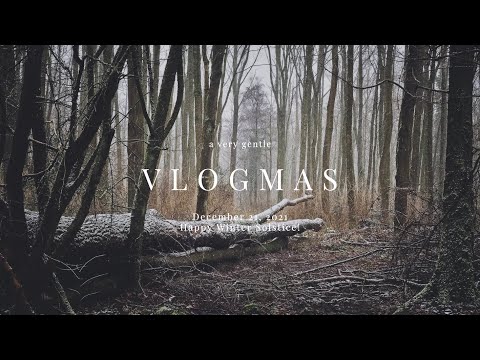 A very gentle vlogmas — December 21, 2021