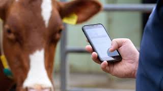 Smart Farming – Eine saubere Datenerfassung zahlt sich aus