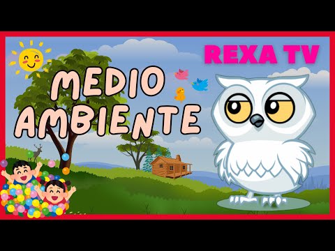 Medio Ambiente para Niños - Cuento Educativo | Infantil