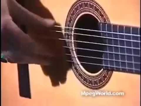 Stefan Flamenco Guitar: Persia.  Stefan Schyga, Guitar