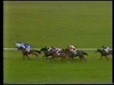 1982 Jockey Club Cup