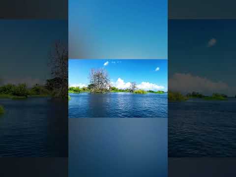 Novo Aripuanã. Viagens pela Amazônia