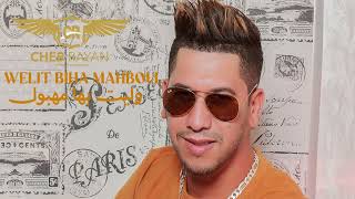 كلمات اغنية وليت بيها مهبول شاب ريان