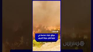حرائق غابات ضخمة تتسبب في إغلاق طرق رئيسية بتركيا thumbnail