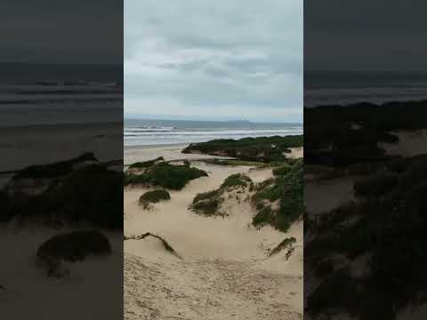 Dunas do Juruvauva ilha comprida sp paraíso natural.