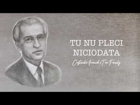 Teo Family - Colaj | Costache Ioanid (2)