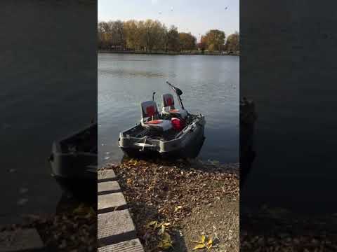 Introducing my sundolphin sportsman
