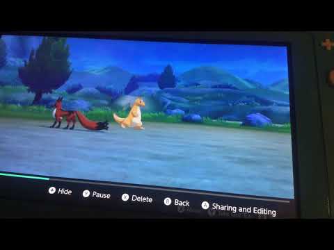 Dragonite really wants to see you