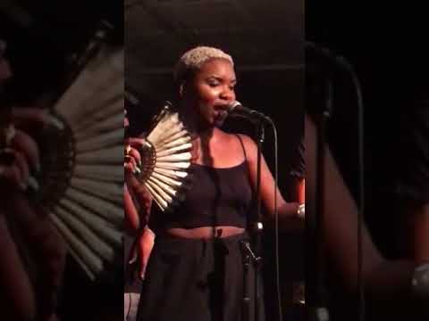 "The Dylema Collective'