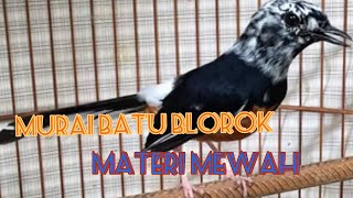 Download lagu BURUNG MURAI BATU BLOROK GACOR FULL ISIAN mp3 Download lagu BURUNG MURAI BATU BLOROK GACOR FULL ISIAN mp3