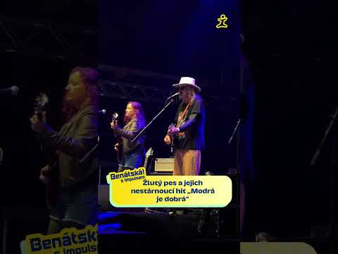 Žlutý pes a jejich nestárnoucí hit „Modrá je dobrá“ 🔥