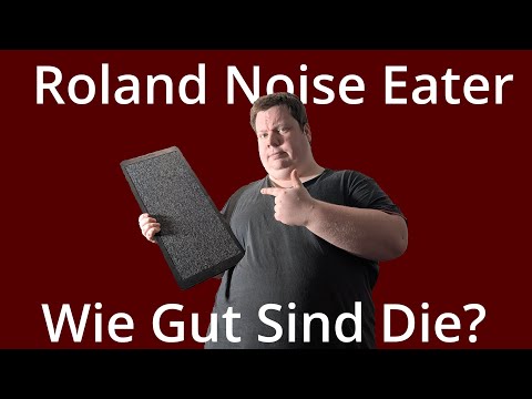 Wie gut funktionieren die Roland Noise Eater? NE-10 & NE-1
