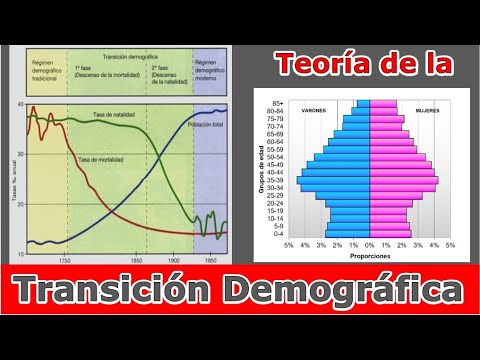 ¿Qué es la Teoría de la Transición Demográfica?