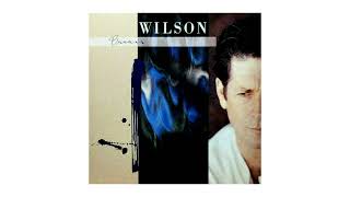 Brian Wilson ~ There&#39;s So Many